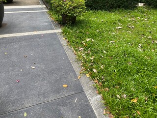 Obraz premium grey concrete pathway in the park
