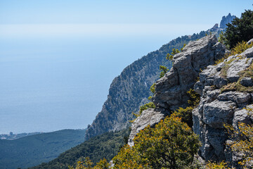 Trees grow on mountain rocks against a blue sky. Colorfull landscape. Nature background. Copy space