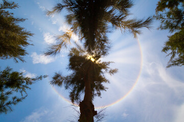 Amazing Natural phenomenon Sun halo or the sun with circular rainbow.