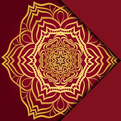 Mandala background. Vector illustration. For book cover