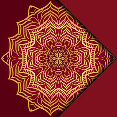 Mandala background. Vector illustration. For book cover