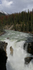 Sunwapta Falls