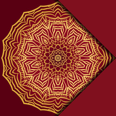 Mandala background. Vector illustration. For book cover