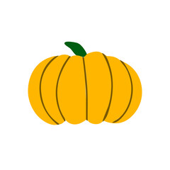 Yellow pumpkin isolated on a white background.Pumpkin for Halloween and thanksgiving day design.Organic autumn vegetable