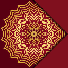 Mandala background. Vector illustration. For book cover