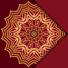 Mandala background. Vector illustration. For book cover