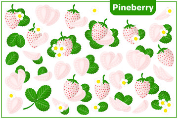 Set of vector cartoon illustrations with Pineberry exotic fruits, flowers and leaves isolated on white background
