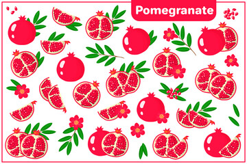 Set of vector cartoon illustrations with Pomegranate exotic fruits, flowers and leaves isolated on white background