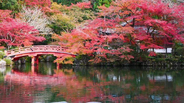 Daigo-ji temple with colorful maple trees in autumn at Kyoto,Japan
