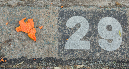 Orange fruit splattered on the ground next to a faded number twentynine painted on a concrete surface