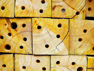 Wooden logs. Close-up. Texture. Background.