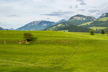 Obraz premium Autumn Impressions at Schweineberg near Sonthofen, Bavaria Germany