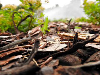 Bark of trees, fertilizer. Macro shot.