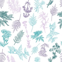 Herbal seamless pattern. Medical forest plants. Background design for cosmetics, store, beauty salon, natural and organic products. Can be used like a texture and fabric print. Vector illustration.
