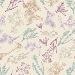 Herbal seamless pattern. Medical forest vintage plants. Herbs design for cosmetics, store, beauty salon, natural and organic products. Can be used like a texture and fabric print. Vector illustration.
