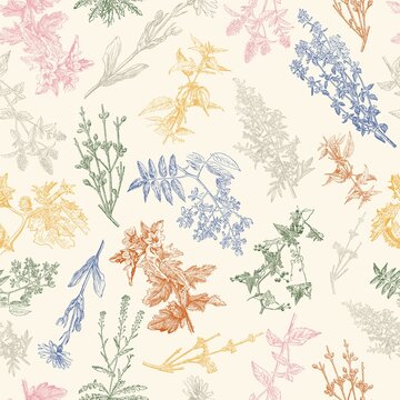 Herbal seamless pattern. Medical forest vintage plants. Herbs design for cosmetics, store, beauty salon, natural and organic products. Can be used like a texture and fabric print. Vector illustration.