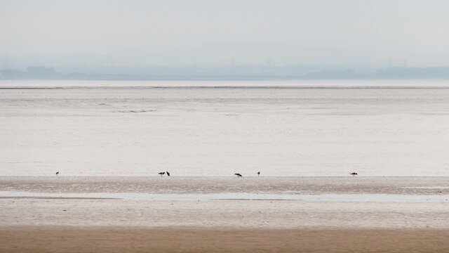รูปภาพBurnhamOnSea เลือกดูภาพถ่ายสต็อก เวกเตอร์ และวิดีโอ178