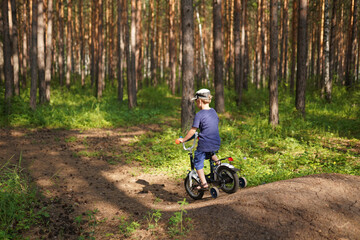 Fototapeta na wymiar little boy riding on the bike in the forest