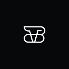 Minimal elegant monogram art logo. Outstanding professional trendy awesome artistic BV VB initial based Alphabet icon logo. Premium Business logo white color on black background