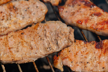 grilling pork for the forest picnic
