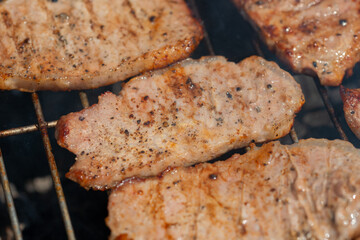 grilling pork for the forest picnic