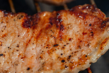 grilling pork for the forest picnic