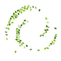 Forest Leaf Falling Vector Concept. Realistic 