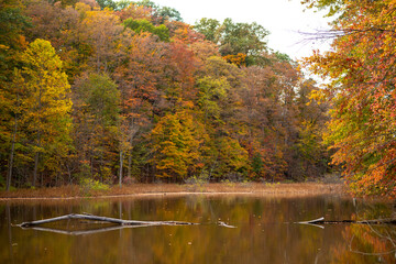 A lake in Autumn time.