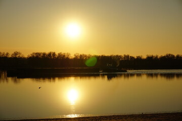 Obraz premium seagull, sunset of the golden sun and ship
