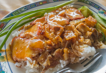 char siu and belly roasted pork rice