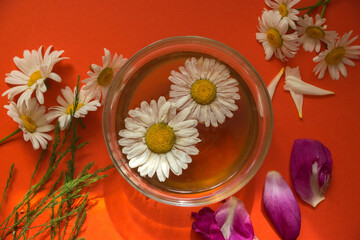 Obraz na płótnie Canvas On a bright orange background, a cup of tea from chamomile broth, tulip petals, chamomile petals