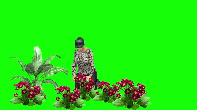 4k 3d animation of two scenes, first with avatar woman walking to some garden flowers and  doing some gardening and the second scene the same but with a young avatar girl.