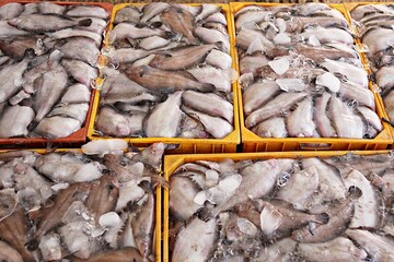 한국 경상북도 포항시 죽도시장.죽도해수욕장 입니다