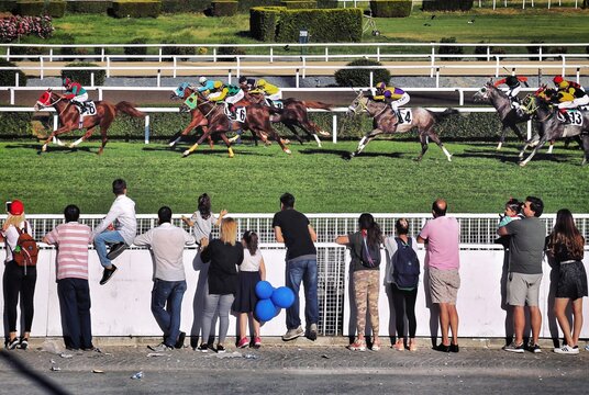 Rear View Of People Watching Horse Race