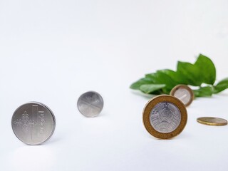 Belarusian coins made of metal alloy with copper on a white background with green leaves in the...
