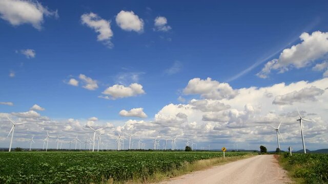 Windmills for electric power production with white cloud and blue sky at Huai Bong, Dan Khun Thot district, Nakhon Ratchasima THAILAND. renewable energy and save  environmental concept