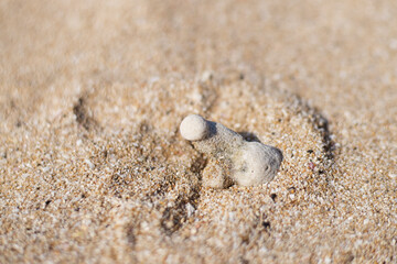 a stone in the form of a penis lies on the sand