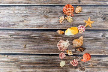 
Multi-colored sea shells on a horizontal background from boards on the right vertical side with place for text.