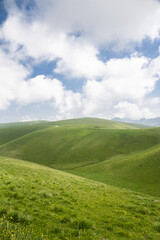 green grass and blue sky