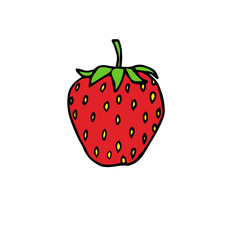 Strawberry, vector illustration, hand drawing, colored