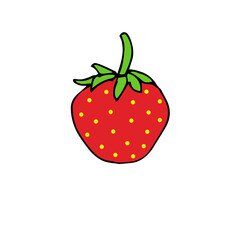 Fresh strawberry, vector illustration, hand drawing, colored