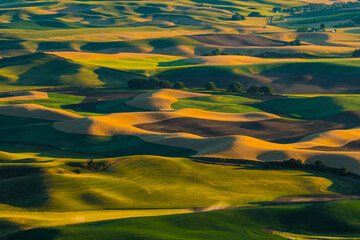 Sunset view of the rolling hills and wheat field in Palouse region, in Washington, USA.