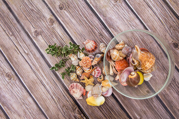 
Ocean seashells on a background of wooden boards.