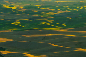 Sunset view of the rolling hills and wheat field in Palouse region, in Washington, USA.