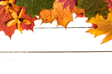 autumn leaves on white wooden background