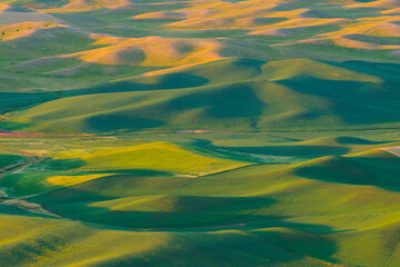 Sunset view of the rolling hills and wheat field in Palouse region, in Washington, USA.