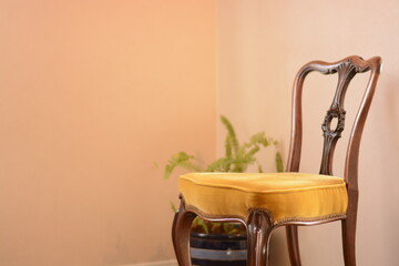 Room of the antique mahogany chair .  This expensive furniture is made in England.   blurred background with copy space.