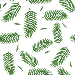 pattern with palm leaves on a white background, color vector illustration, design, decoration
