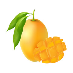 Vector realistic illustration of Ripe fresh mango with slices and leaves. King of fruits best for summer.