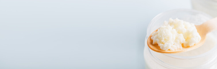 Milk Mushroom Organic Probiotic Dairy Products. Fermented foods healthy eating concept. Selective focus. Copy space